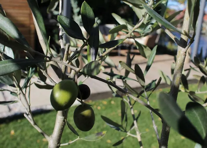 Luxus Vendeghaz A Szigetkoez Sziveben Case de vacanță